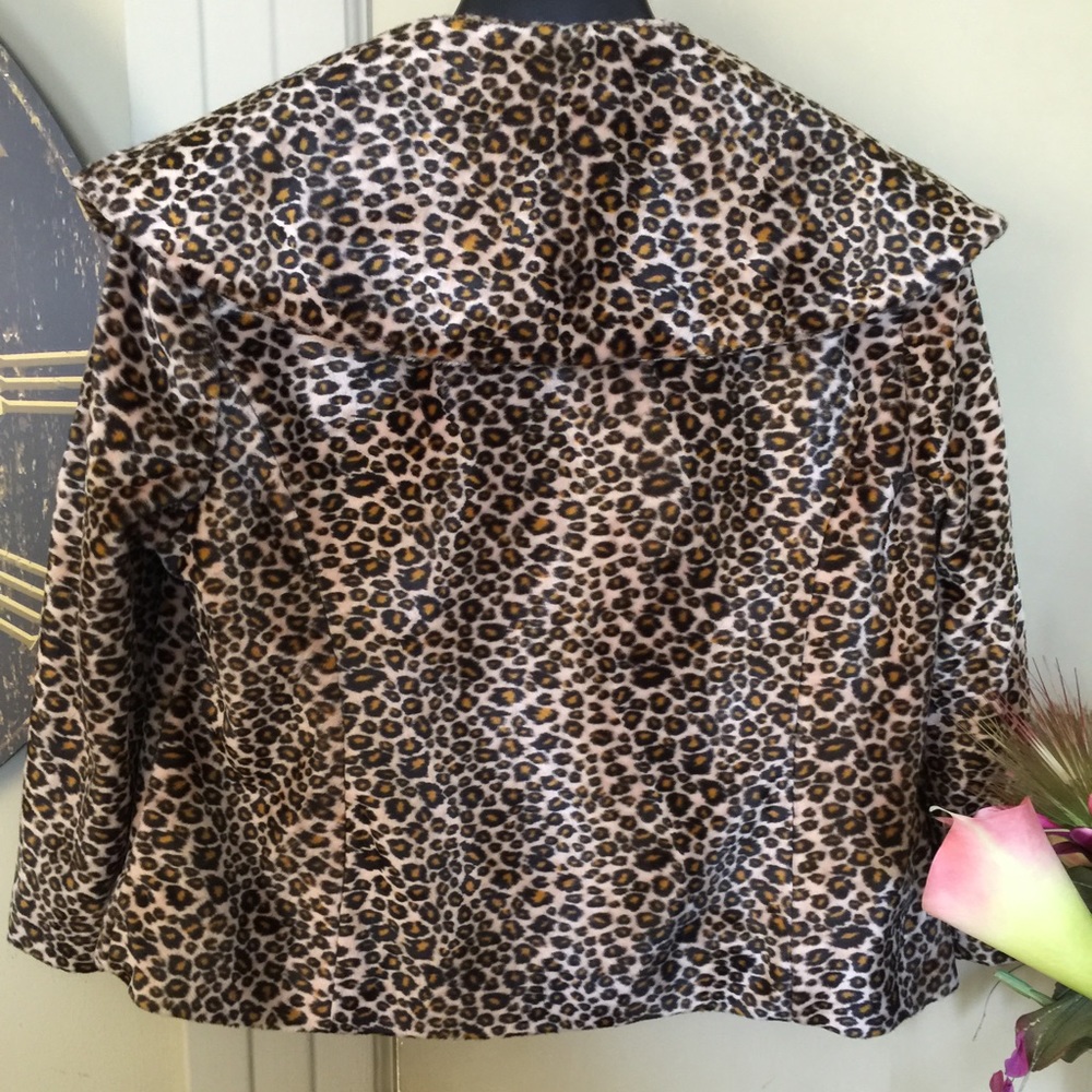 Jacket - Picture 4 of 4
